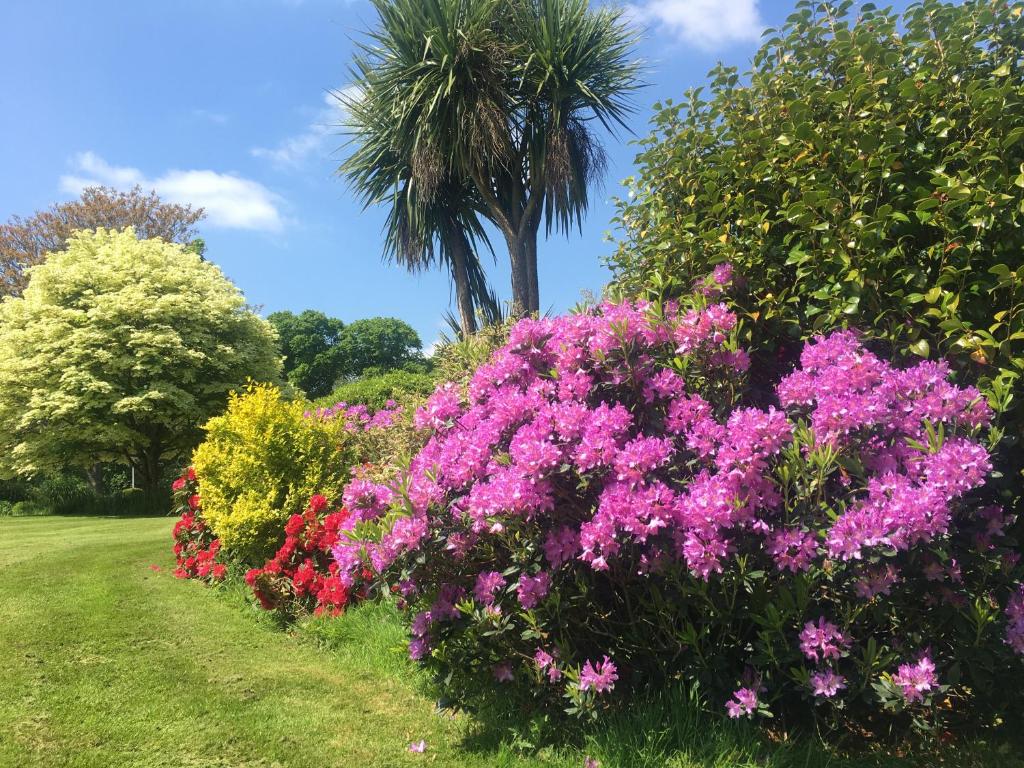a row of flowers with a palm tree in the background at Stay on the grounds of this beautiful Manor house in Wimborne Minster