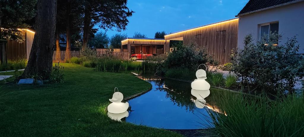 zwei weiße Enten in einem Teich im Garten in der Unterkunft B&B Charles Cabour in De Panne