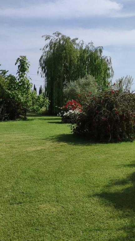 Agriturismo Sant Anna Quarter Horse