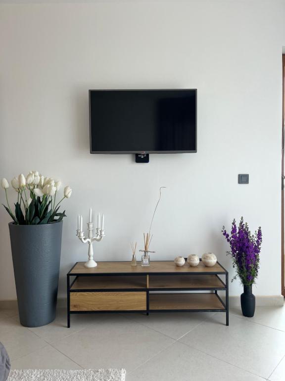 TV a/nebo společenská místnost v ubytování Golf Coast Boutique Studio with sea view
