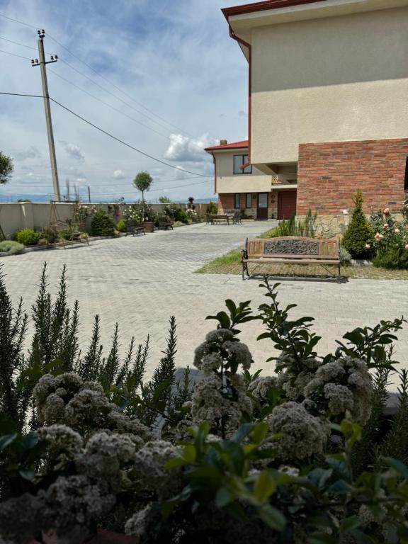 Zahrada ubytování Royal Green Hotel