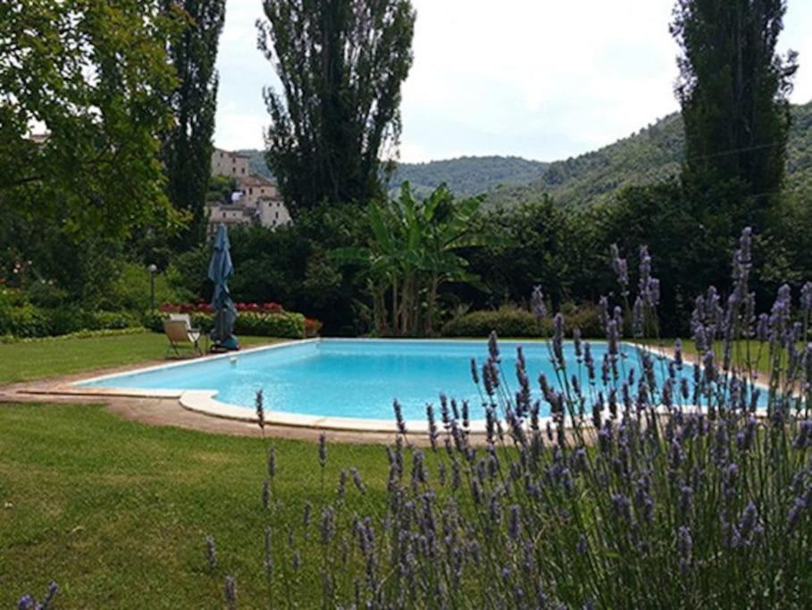 a swimming pool in a yard with flowers and trees at La chiave del Tempo in Casteldilago