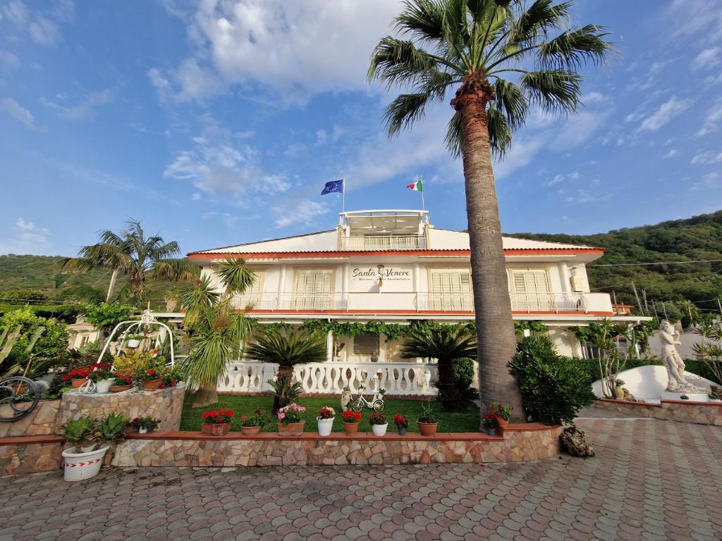ein Gebäude mit einer Palme davor in der Unterkunft Santa Venere Apartments "Parcheggio privato" in Tropea