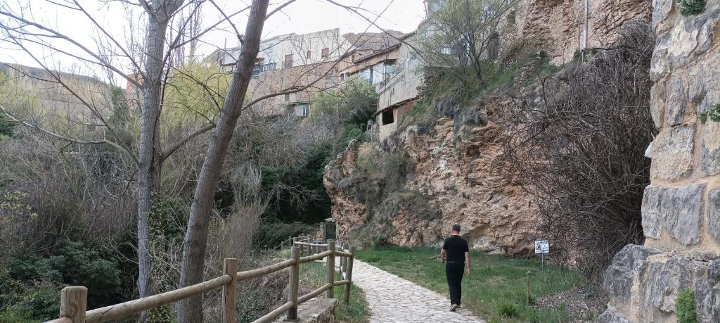 Příroda nedaleko apartmánu