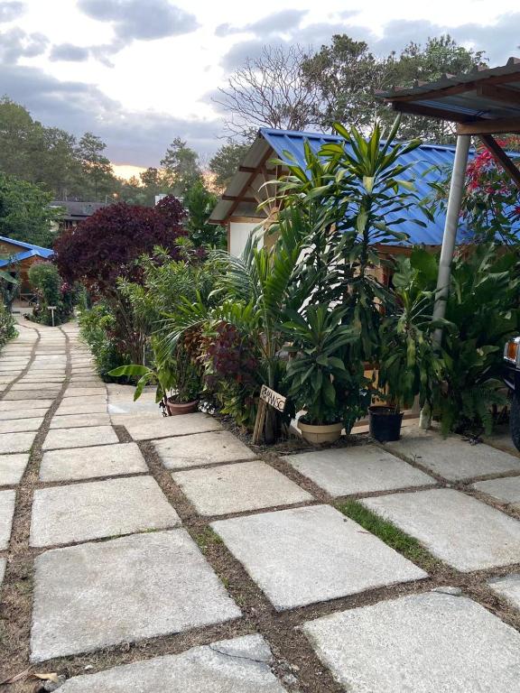 Zahrada ubytování Villas Don Che, 2 villas