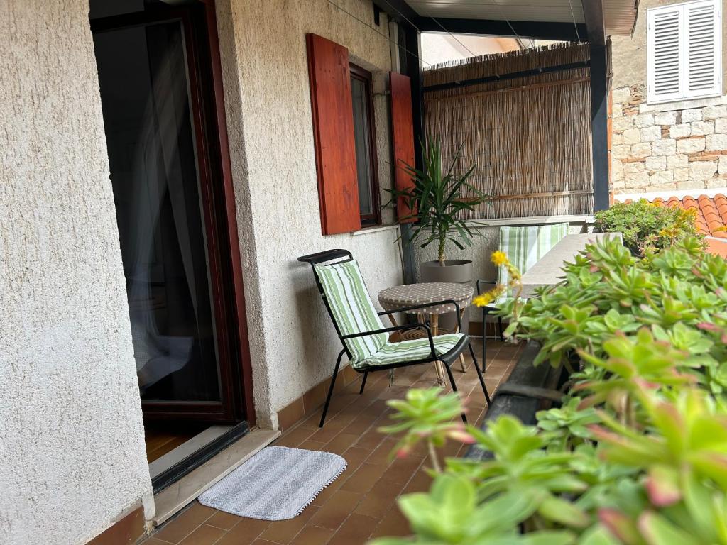Zahrada ubytování Guesthouse Fjaka