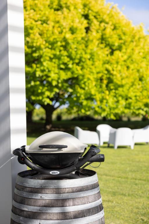 305 in the Vines - Resim 34