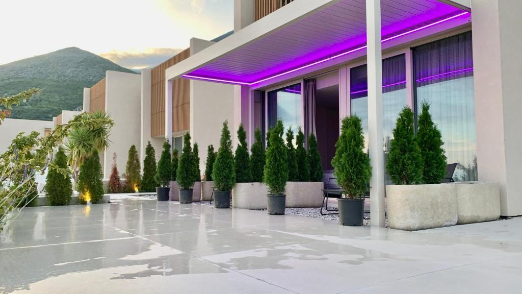 a rendering of a building with potted trees and purple lighting at Green Condo Hotel Palase in Himare