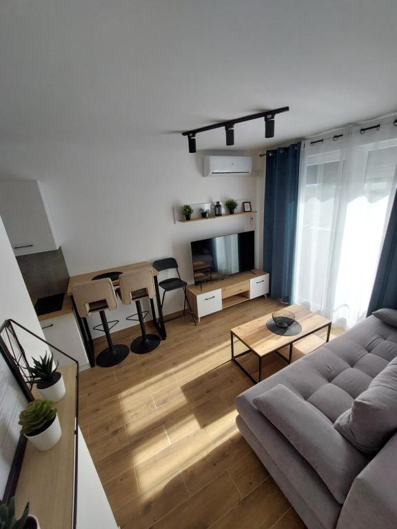 Een TV en/of entertainmentcenter bij Apartman Anna Srebrno jezero
