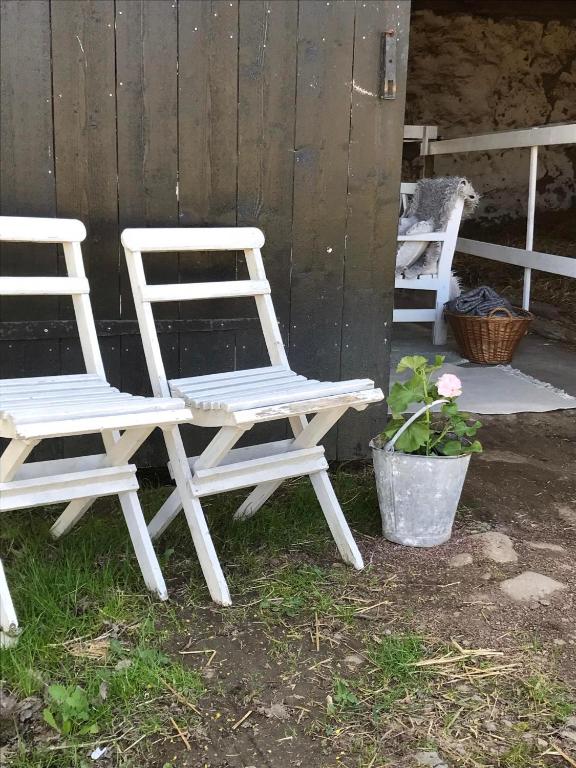 Fotografie z fotogalerie ubytování Bo på landet i Sölvesborg v destinaci Sölvesborg