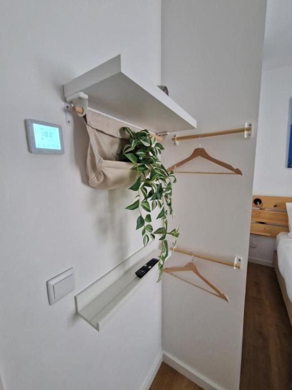 Casa do Albuquerque II - 1