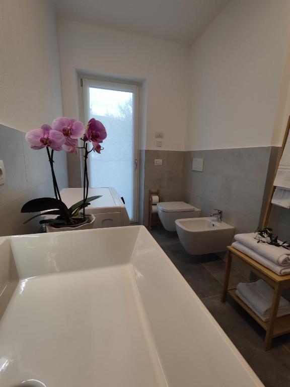 Bagno di Oasi degli Ulivi
