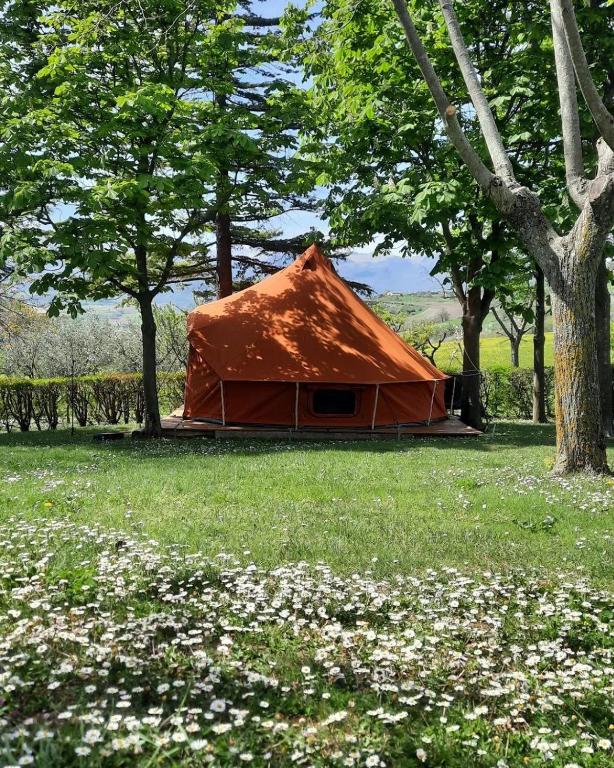Příroda nedaleko luxury tent