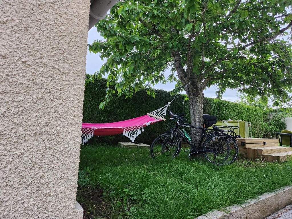 a bike parked next to a tree with a hammock at L’échappée Bulles in Épernay