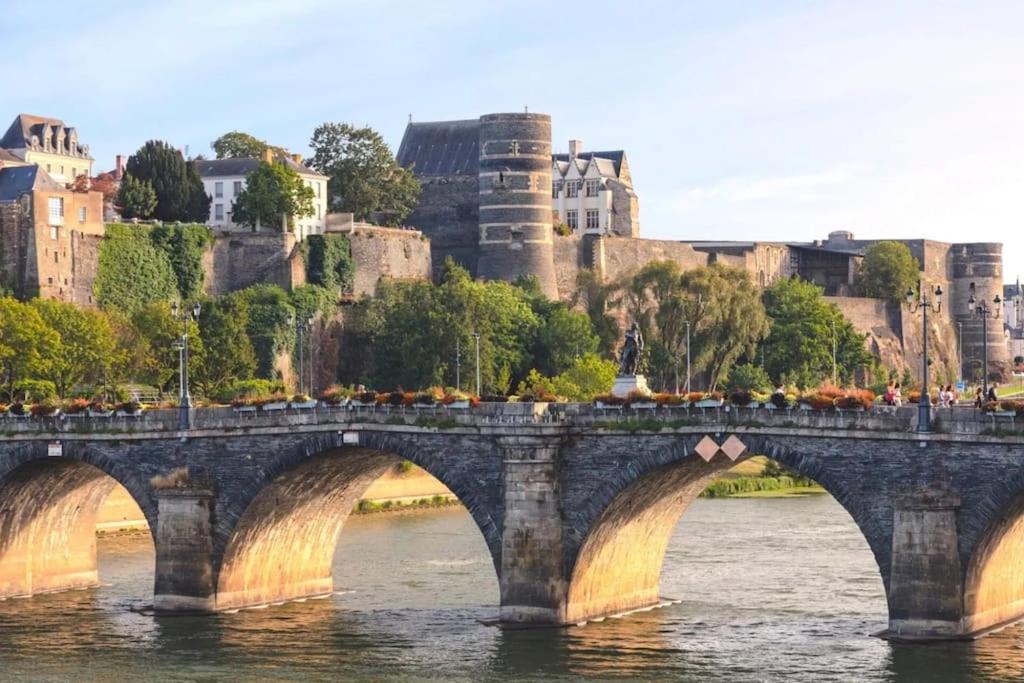 Photo de la galerie de l'établissement Angers Centre- Gare - Chateau - Duplex 2 chambres, à Angers