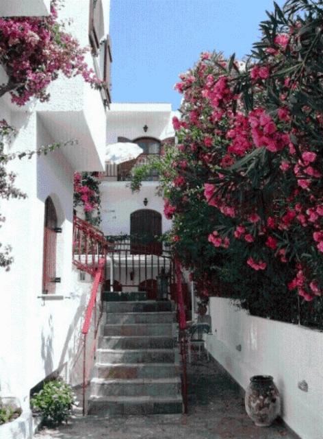 Zahrada ubytování Villa Mikra Asia