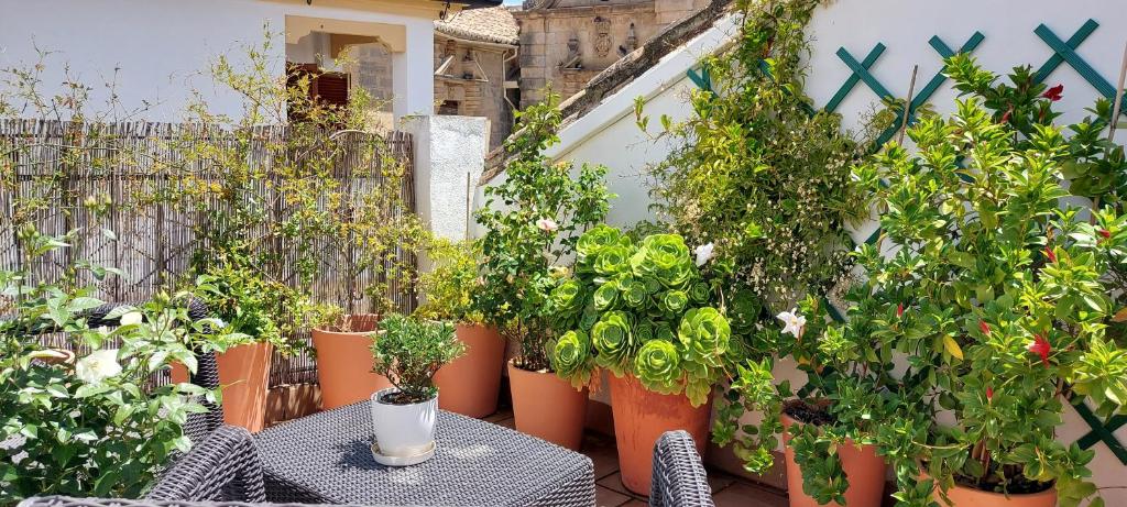 patio z mnóstwem roślin doniczkowych i stołem w obiekcie Apartamentos Los Descalzos Ángel With Private Terrace Free Parking w mieście Ronda
