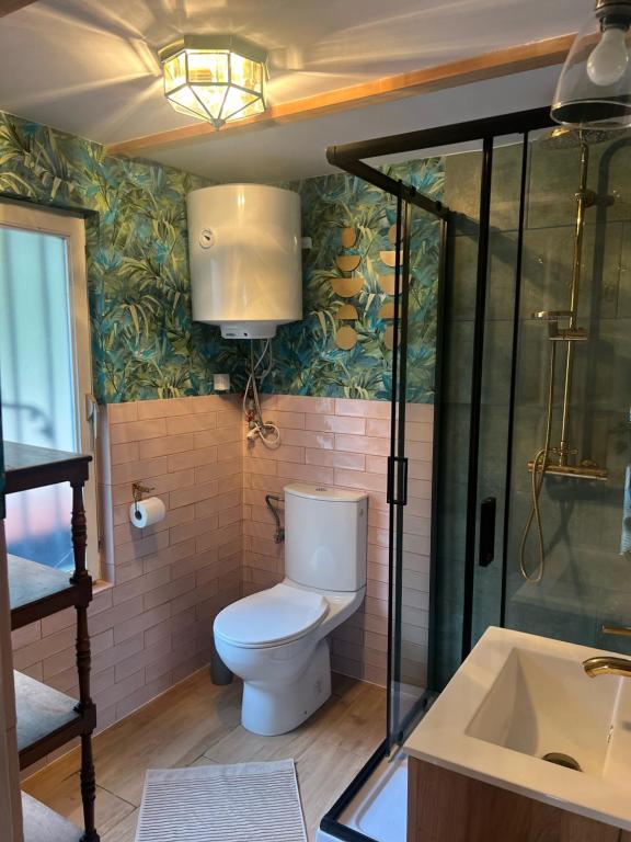 a bathroom with a toilet and a shower and a sink at Kaszubski sen in Smołdzino