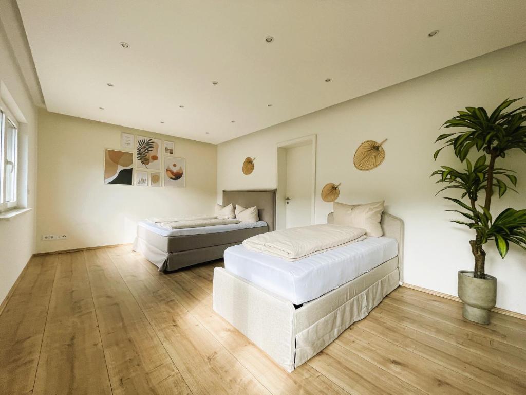 ein Schlafzimmer mit 2 Betten und einer Topfpflanze in der Unterkunft Finca Berlin nähe Olympiastadion in Berlin