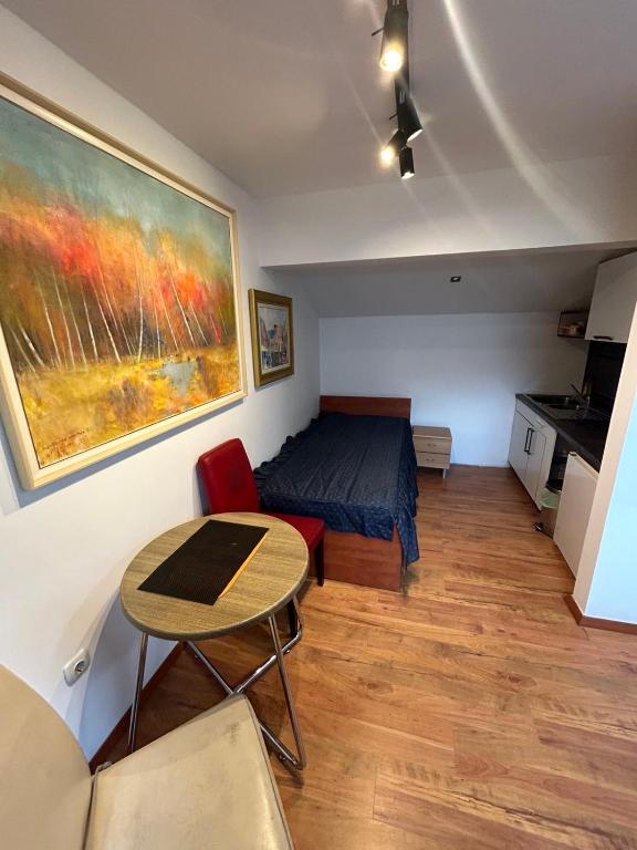 Apartments Iva - Studio Mit Doppelbett