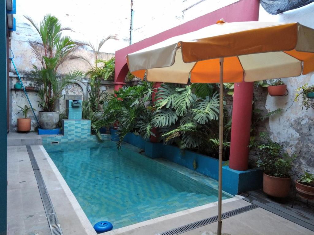 a swimming pool with an umbrella next to a building at Heliconia in Cali
