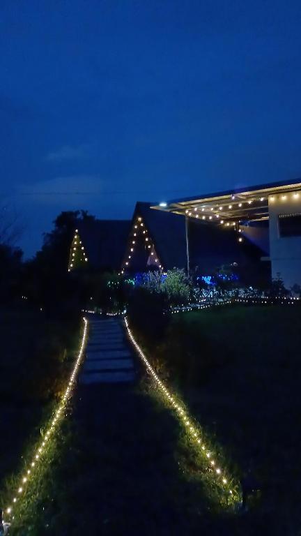 Una pasarela con luces delante de un edificio por la noche en Flora Glamping de Abuela, en Fortuna