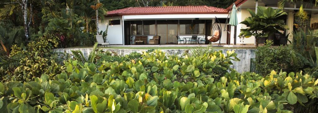 a garden with green plants and a house in the background at Casa pacific vista in Ojochal