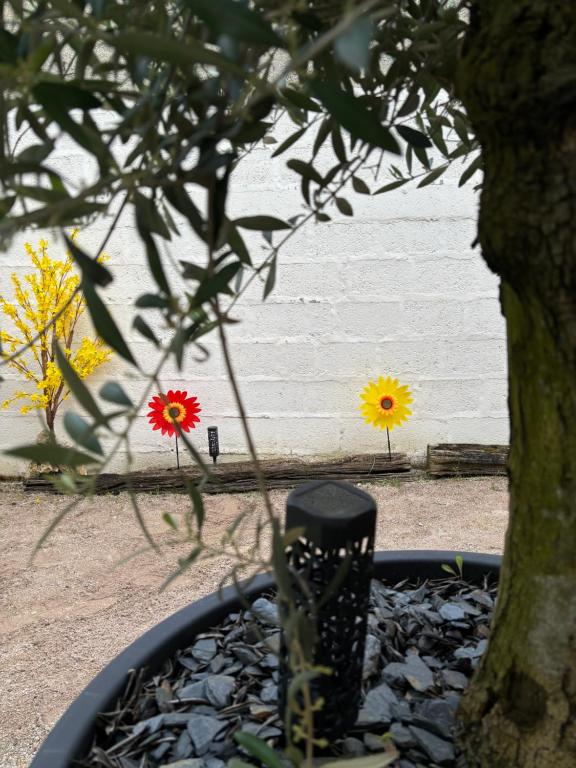 Deux fleurs dans un jardin avec un arbre dans l'établissement ESCAPADE en CHAMPAGNE, à Épernay