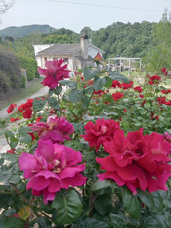 Alloggio Turistico - Apartment