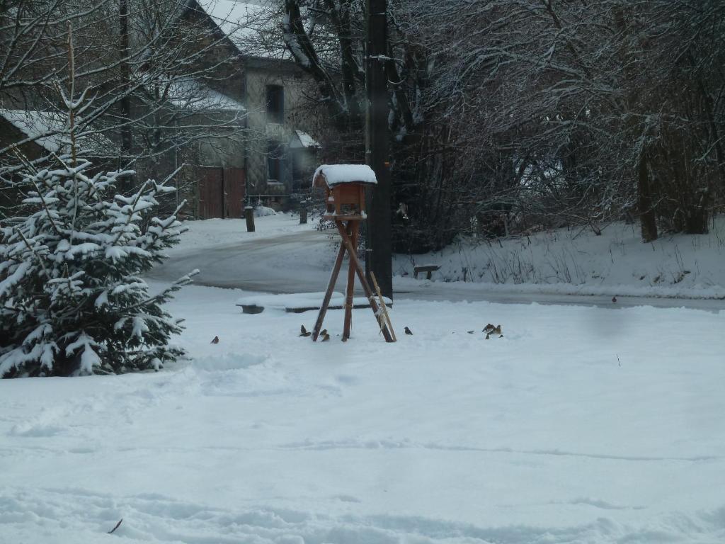 gîte Le cheval ardennais v zimě