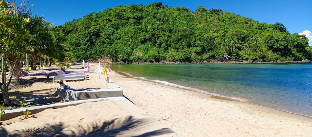- une plage avec des chaises, des arbres et l'océan dans l'établissement MG Chateau Resort, à El Nido
