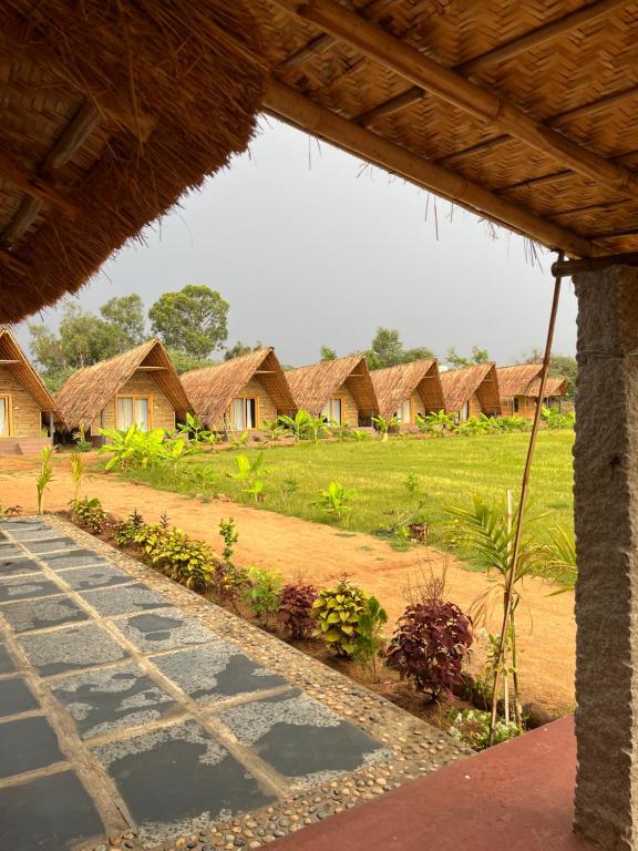 Zahrada ubytování Tropical Hampi