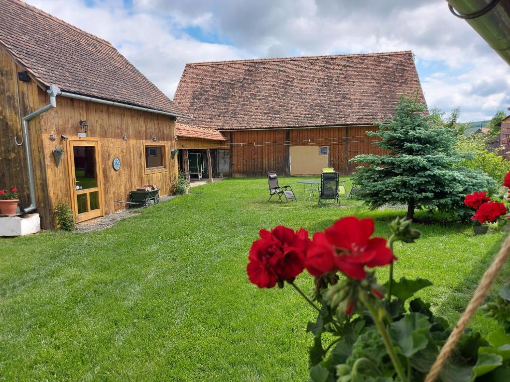 Zahrada ubytování Viscri 195