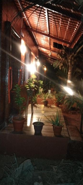 Zahrada ubytování Good Vibes Homestay-Honnavar