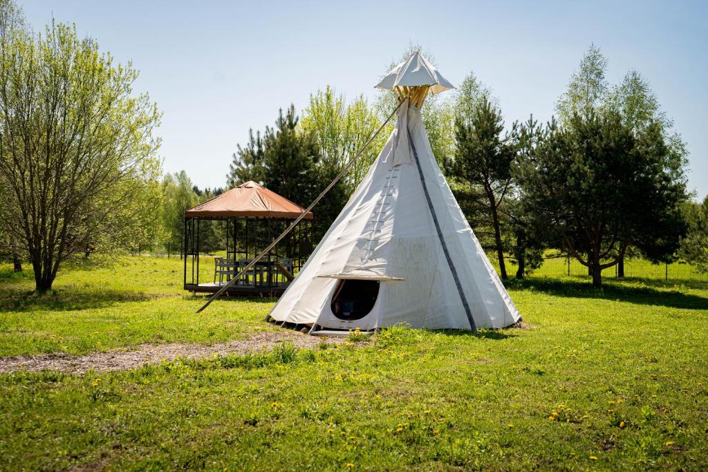 a teepee tent in a field with a gazebo at Briedžio sapnas in Sudervė