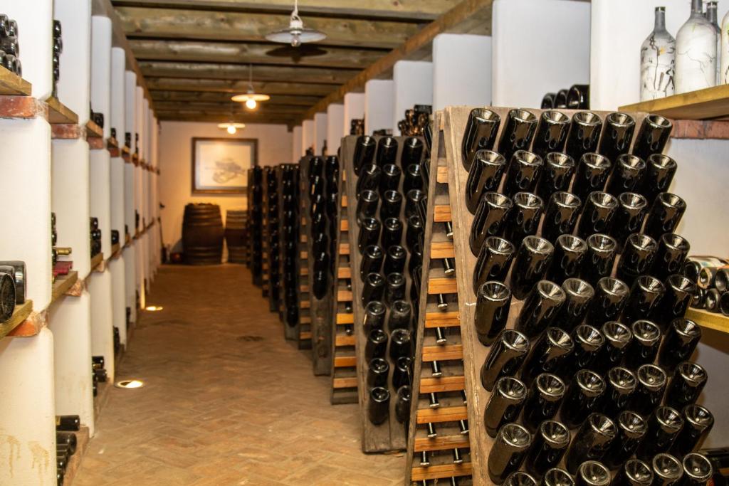 Fitness centrum a/nebo fitness zařízení v ubytování Posestvo Ščurek wine