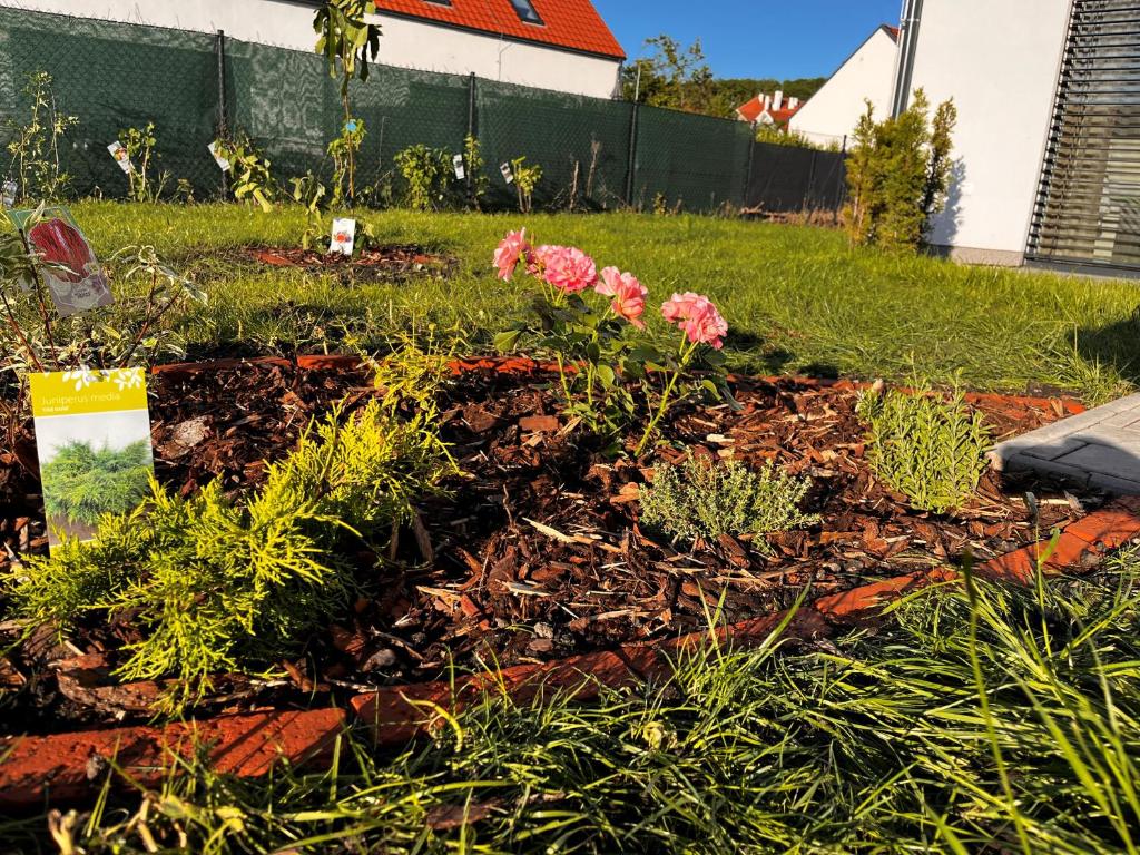 a garden with pink flowers in a yard at Apartmány Mikulovské zahrady in Mikulov