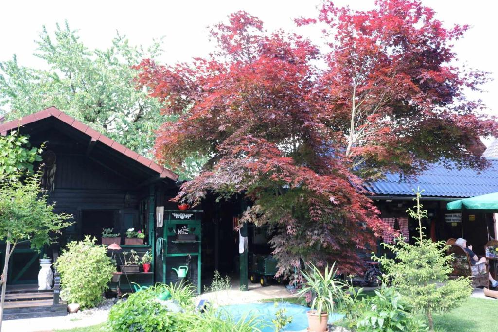 Zahrada ubytování Frenkcottage 5 KM FROM THE AIRPORT- FREE TRANSPORTATION