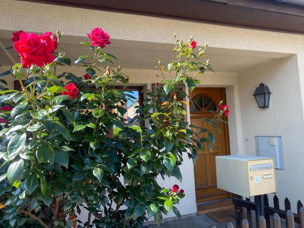 a bush with red roses in front of a house at Maison proximité Strasbourg centre in Schiltigheim