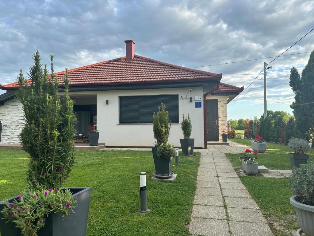 uma casa com vasos de plantas no quintal em Holiday Home TimeOut Bizovac em Bizovac