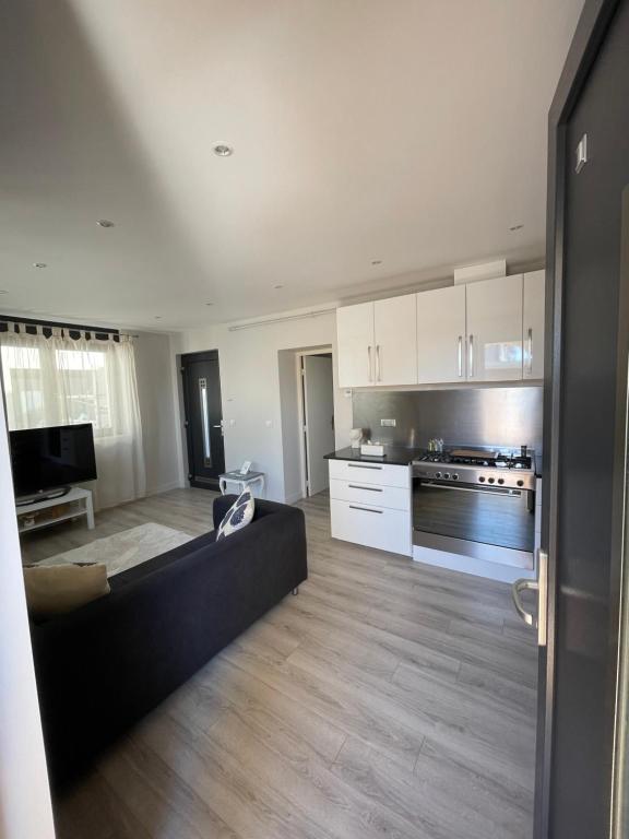 アラドにあるApartment 1 confort&modernの広いリビングルーム(ソファ付)、キッチンが備わります。