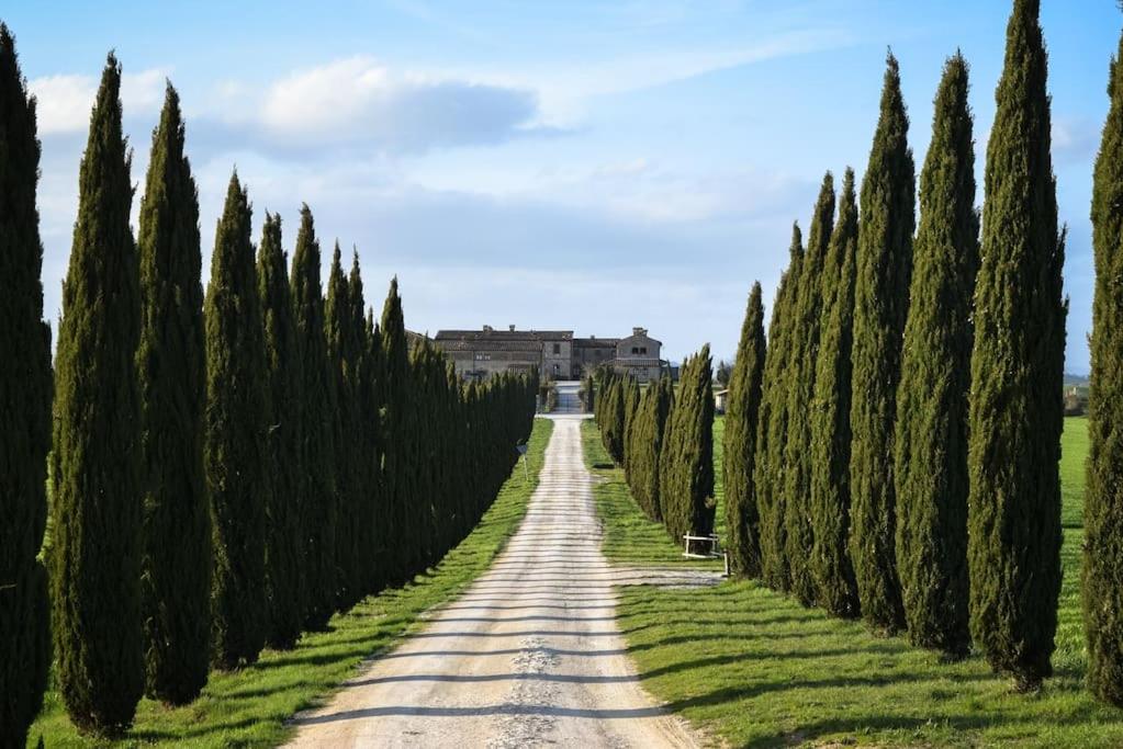 une route bordée d'arbres et un bâtiment au loin dans l'établissement Cozy home in countryside Asciano Siena -renovated!, à Asciano