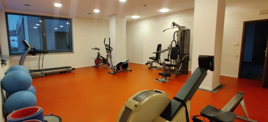 Fitness centrum a/nebo fitness zařízení v ubytování Hotel Arman