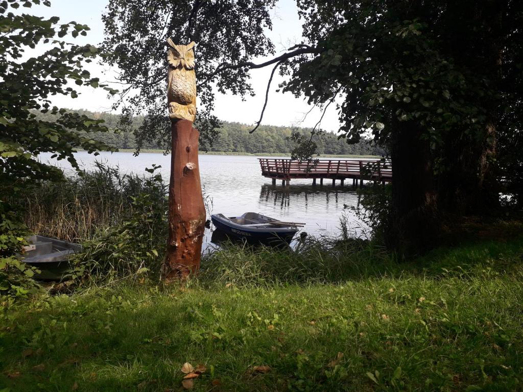 a pole with a cat on it next to a lake at Całoroczny Apartament u Grzegorza in Lidzbark