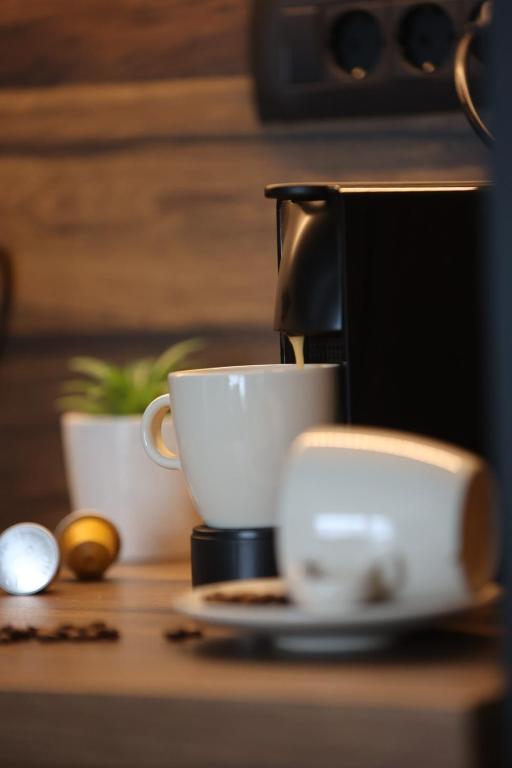 Apartmani Royal Osijek - 10