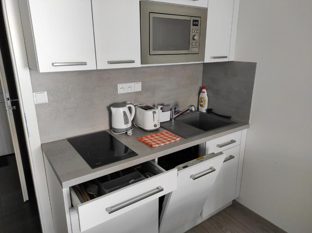 Kuchyňa alebo kuchynka v ubytovaní Apartmán Dagmar