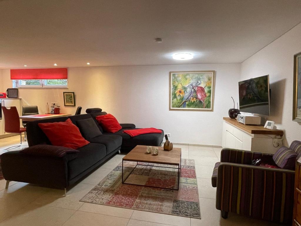 TV a/nebo společenská místnost v ubytování Ferienwohnung Erwitte Soest Sassendorf Lippstadt