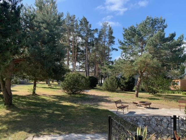 Zahrada ubytování Ferienpark Buntspecht Apartment B