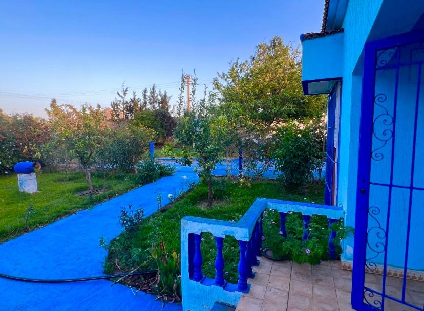 a blue house with a blue path next to a yard at Maison bleue Bouznika in Bouznika