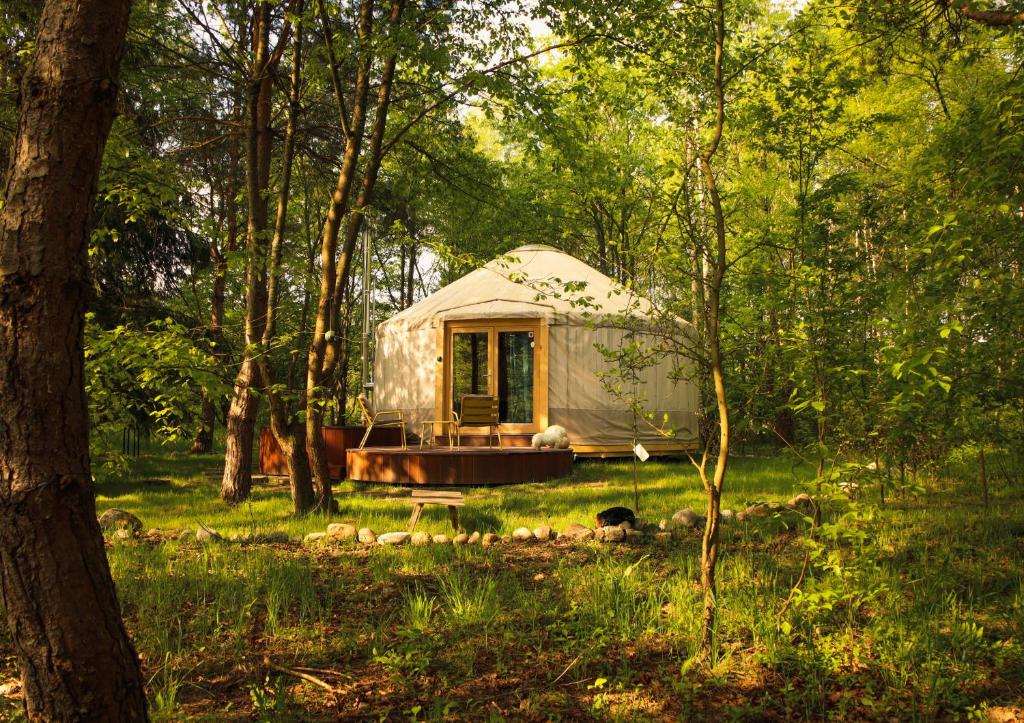 a small tent in the middle of a forest at Dacza Puchacza Glamping in Stare Osieczno
